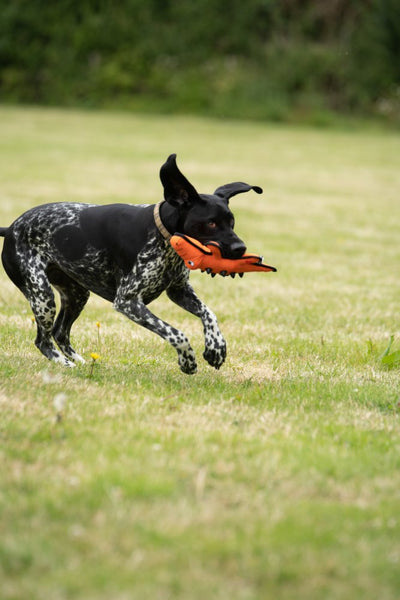 Petface Seriously Strong nobbly crocodile dog toy