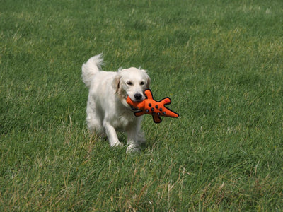 Petface Seriously Strong nobbly crocodile dog toy
