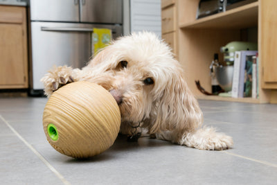 KONG Bamboo Feeder Dumbbell Medium