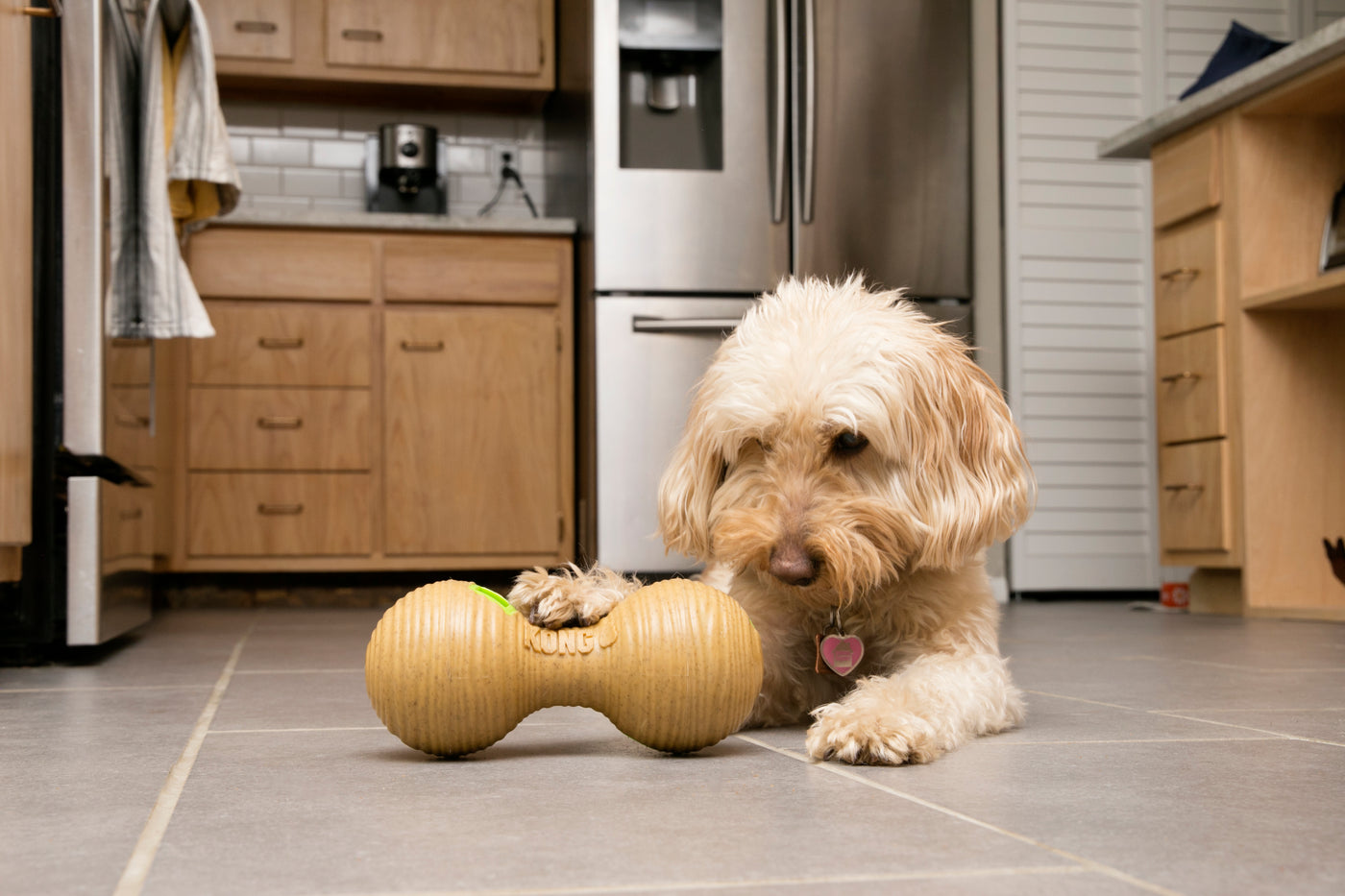 KONG Bamboo Feeder Dumbbell Medium