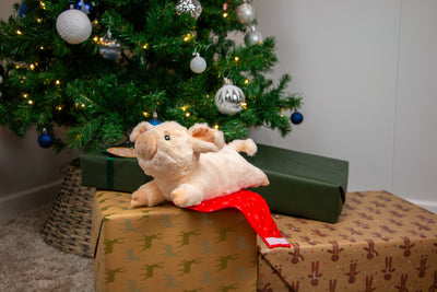 Paloma Pig in Blanket Festive Dog Toy by Ancol
