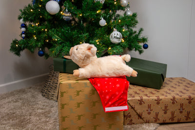 Paloma Pig in Blanket Festive Dog Toy by Ancol