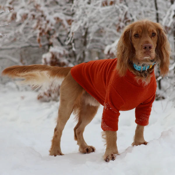 Pawsome Suits 2-Leg Fleece Dog Suit - Rust