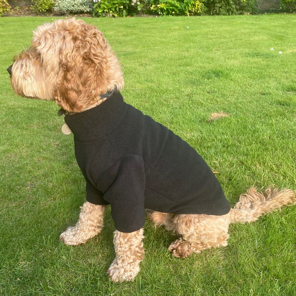 Pawsome Suits 2-Leg Fleece Dog Suit - Black