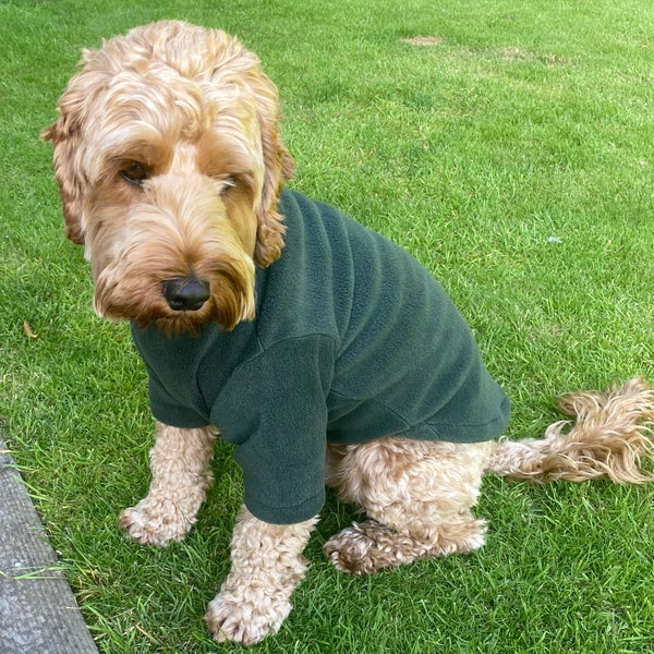 Pawsome Suits 2-Leg Fleece Dog Suit - Green