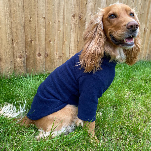 Pawsome Suits 2-Leg Fleece Dog Suit - Navy