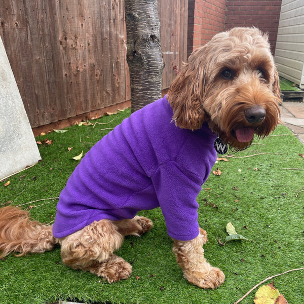 Pawsome Suits 2-Leg Fleece Dog Suit - Purple