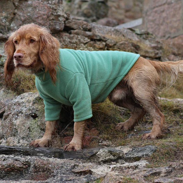 Pawsome Suits 2-Leg Fleece Dog Suit - Sage