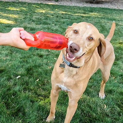 KONG Jumbler Tug Sm/Md in Red