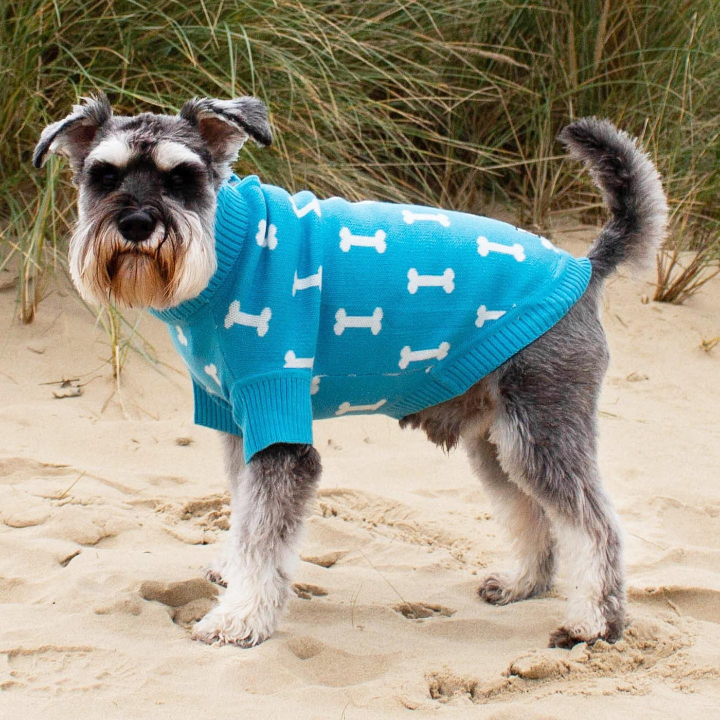 'The Stamford' - Turquoise Bone Knit Dog Jumper