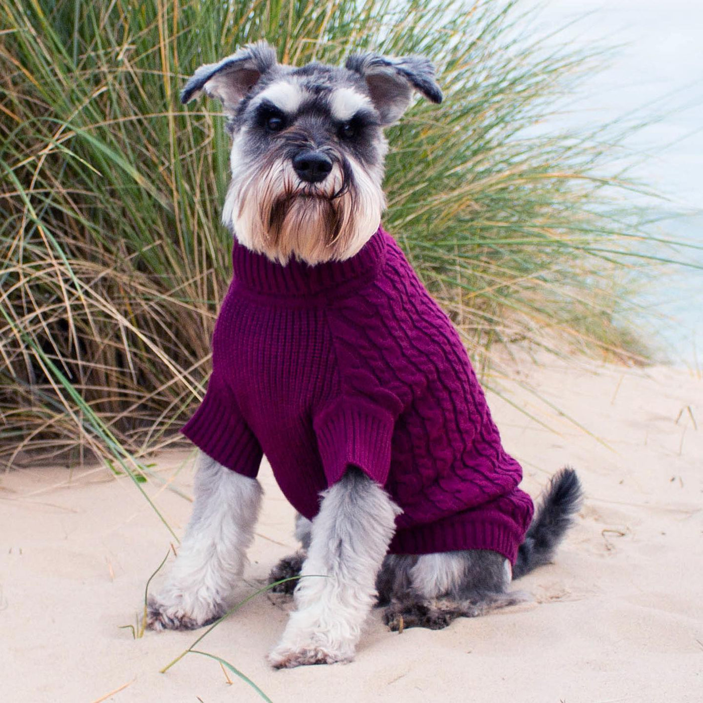 'The Woodbridge' - Burgundy Dog Jumper