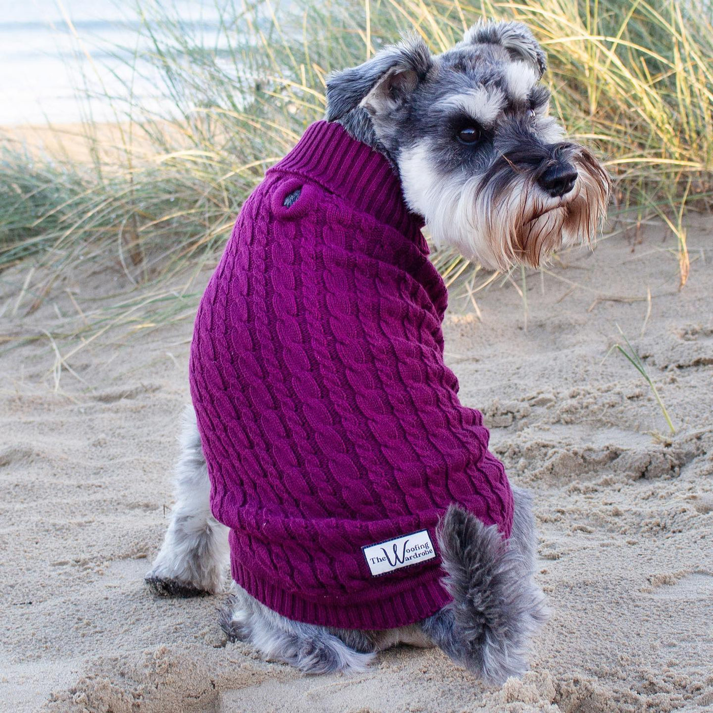'The Woodbridge' - Burgundy Dog Jumper