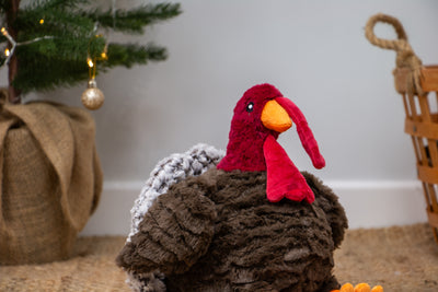 Tina Turkey Festive Dog Toy by Ancol