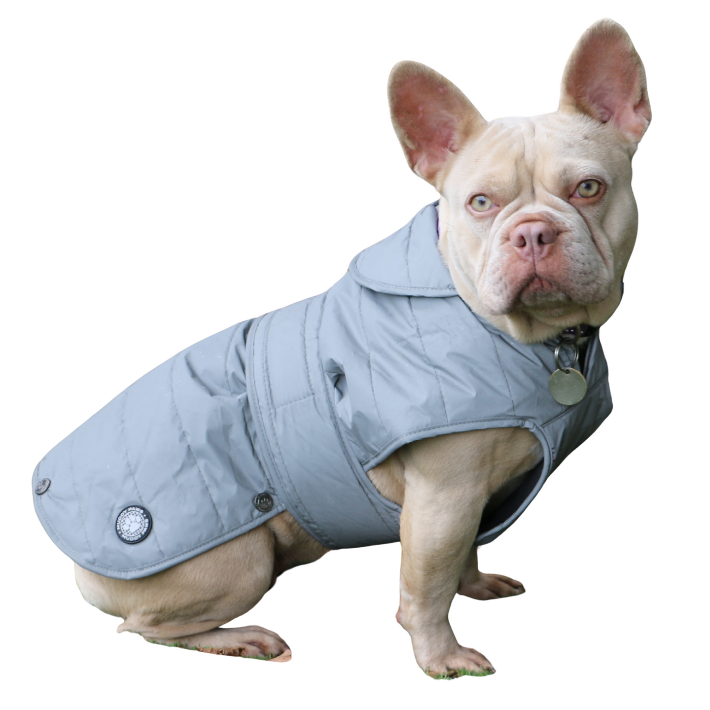 Ancol Ultimate Reflective Dog Coat