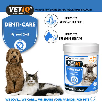 VETIQ® Denti-Care Powder – Natural Plaque Control