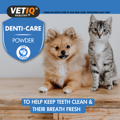 VETIQ® Denti-Care Powder – Natural Plaque Control
