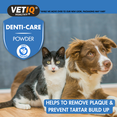 VETIQ® Denti-Care Powder – Natural Plaque Control