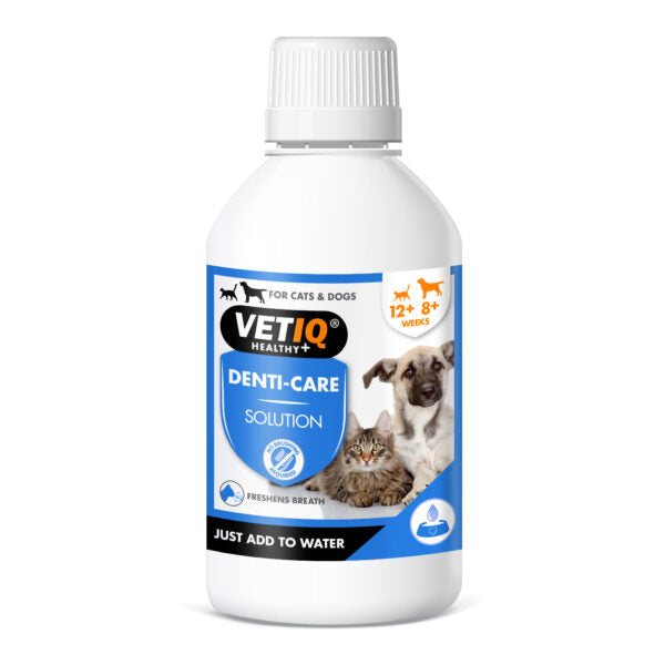 VETIQ® Denti-Care Solution
