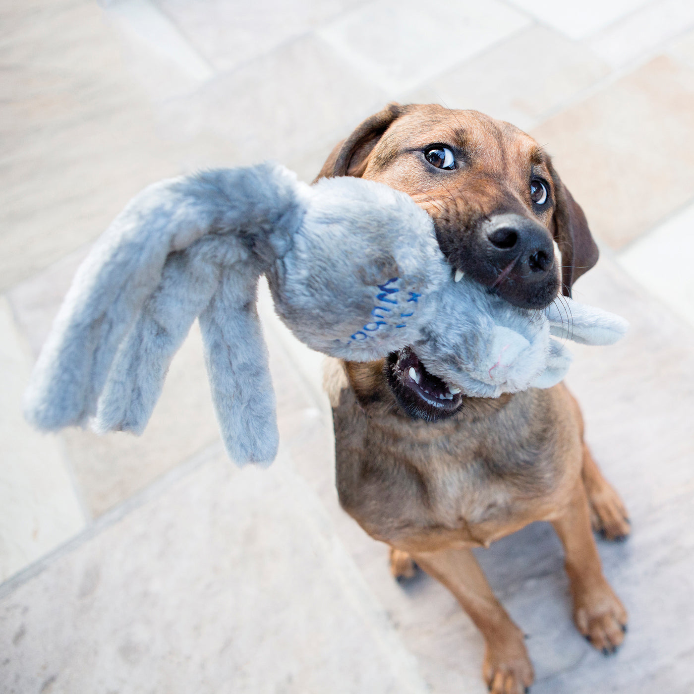 KONG Wubba Friend - Grey Rabbit (Small)