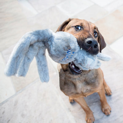 KONG Wubba Friend - Grey Rabbit (Small)