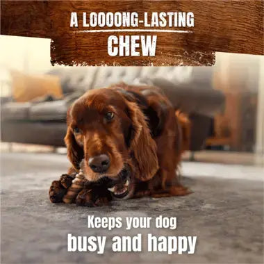 ADVENTUROS® Wild Chew Medium Venison Dog Treats
