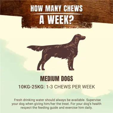 ADVENTUROS® Wild Chew Medium Venison Dog Treats