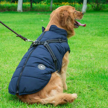 DryDogs Wintro Quilted Waterproof Dog Coat with Harness Built In - Navy
