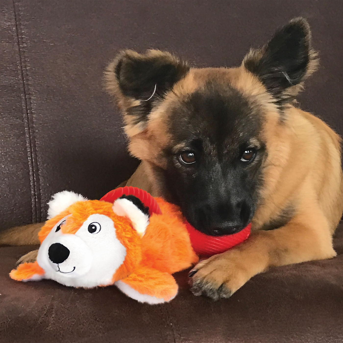 KONG Cozie Pocketz Fox - Medium