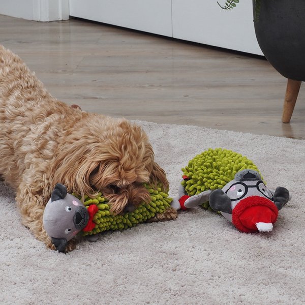 Zoon Percy Pug Sausage Squeaker is everything your pooch wants in a toy at Smiley Myley