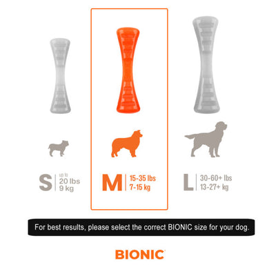 BIONIC Urban Stick Medium