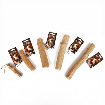 Natural Coffee Wood Dog Chew