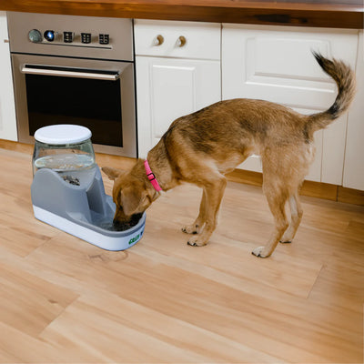 Green Rocks Gravity-Feed Water Bowl 4Ltr