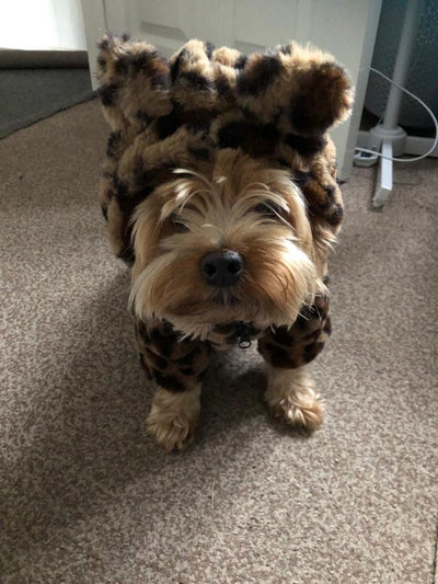Fluffy 'Leopard Print' Dog Jacket with a warm hood and ears
