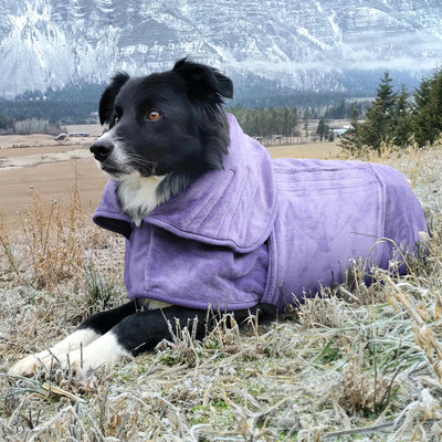 Mutt & Bailey Dog Drying Coat in Heather