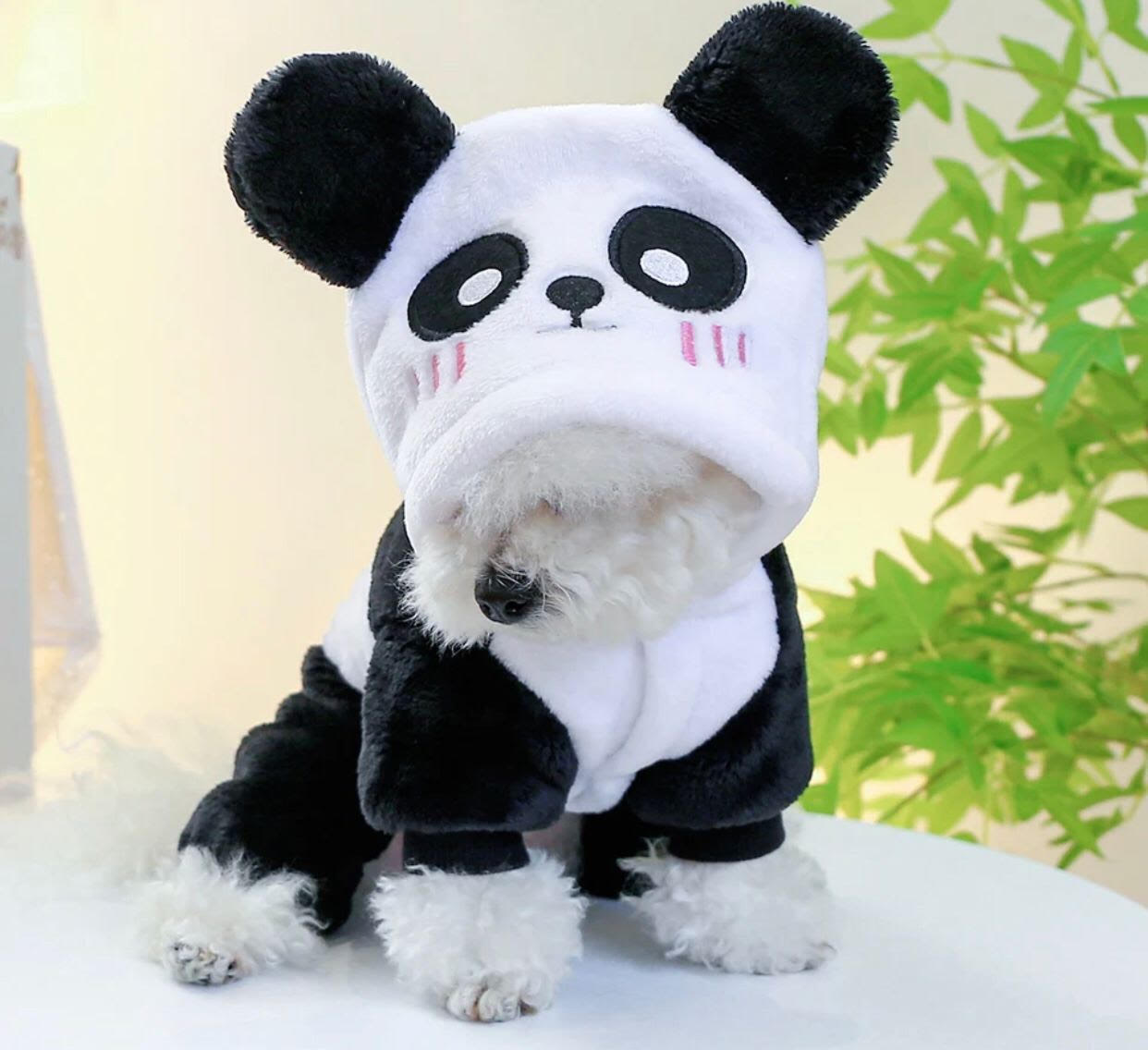 Panda outfit in Black and White with animal hood
