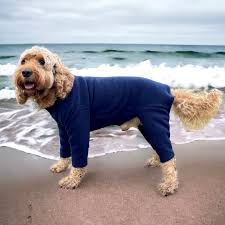 Pawsome Suits 4 Leg Dog Suit in Navy