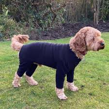 Pawsome Suits 4 Leg Dog Suit in Black