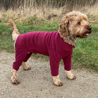 Pawsome Paws 4 Leg Dog Suit in Mulberry