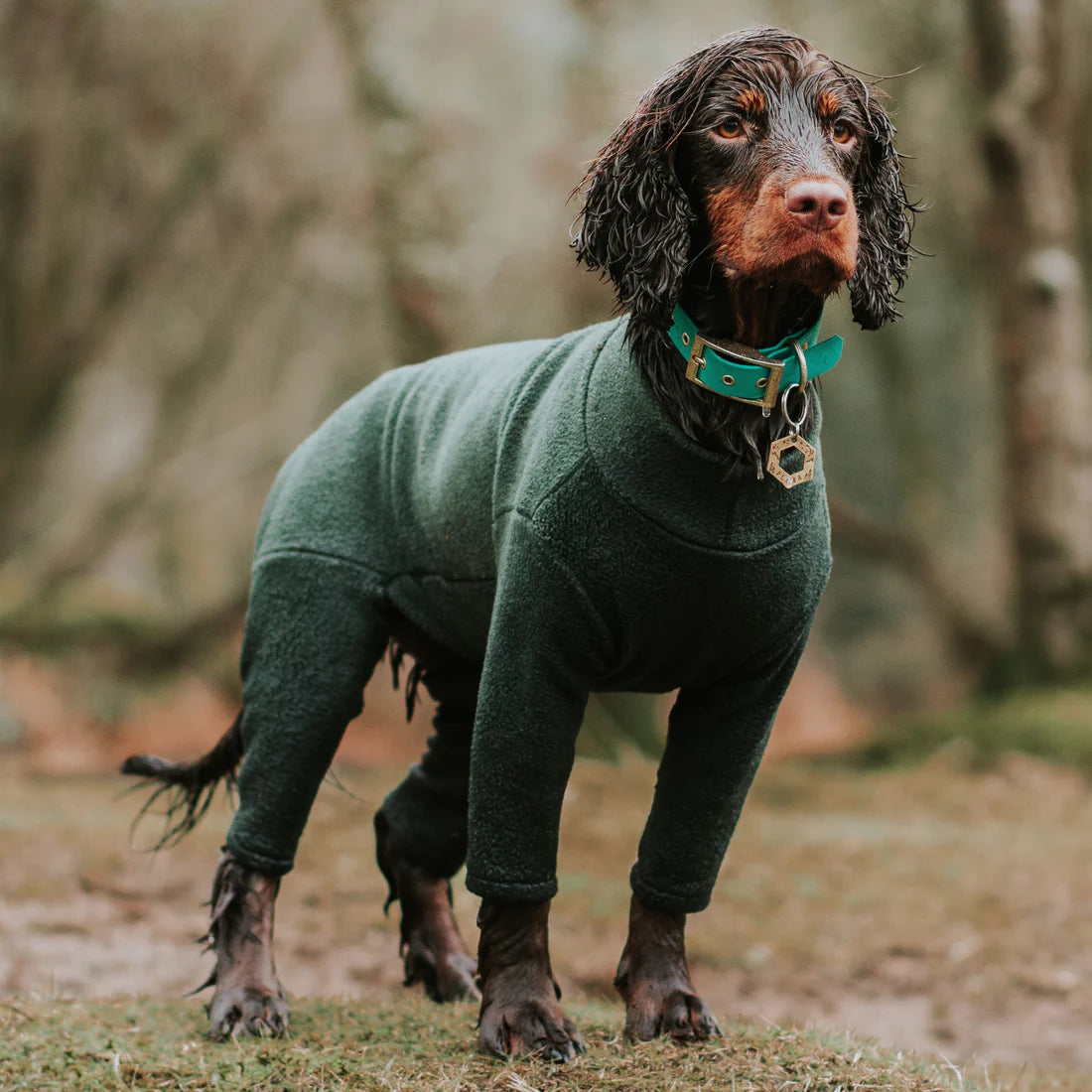 Pawsome Paws 4 Leg Dog Suit in Green