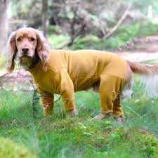 Pawsome Suits 4 Leg Dog Suit in Mustard