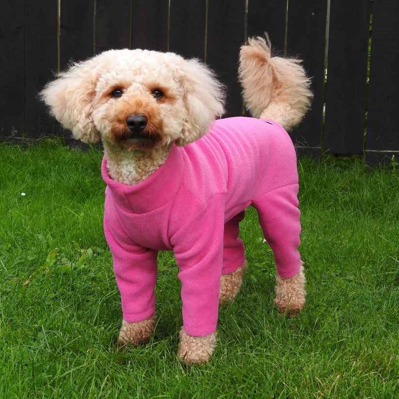 Pawsome Suits 4 Leg Dog Suit in Cerise
