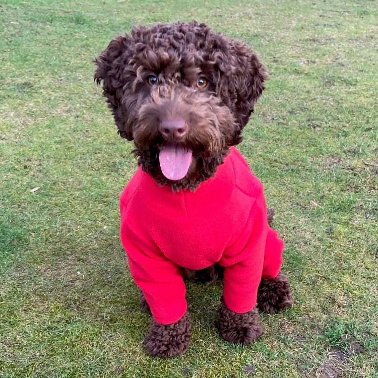 Pawsome Paws 4 Leg Dog Suit in Red