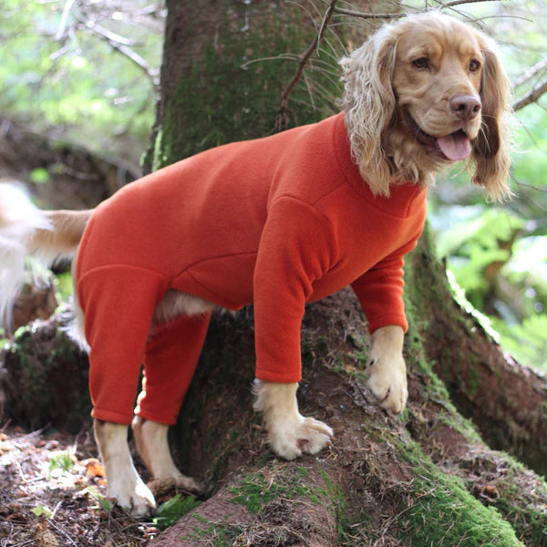 Pawsome Suits 4 Leg Dog Suit in Rust