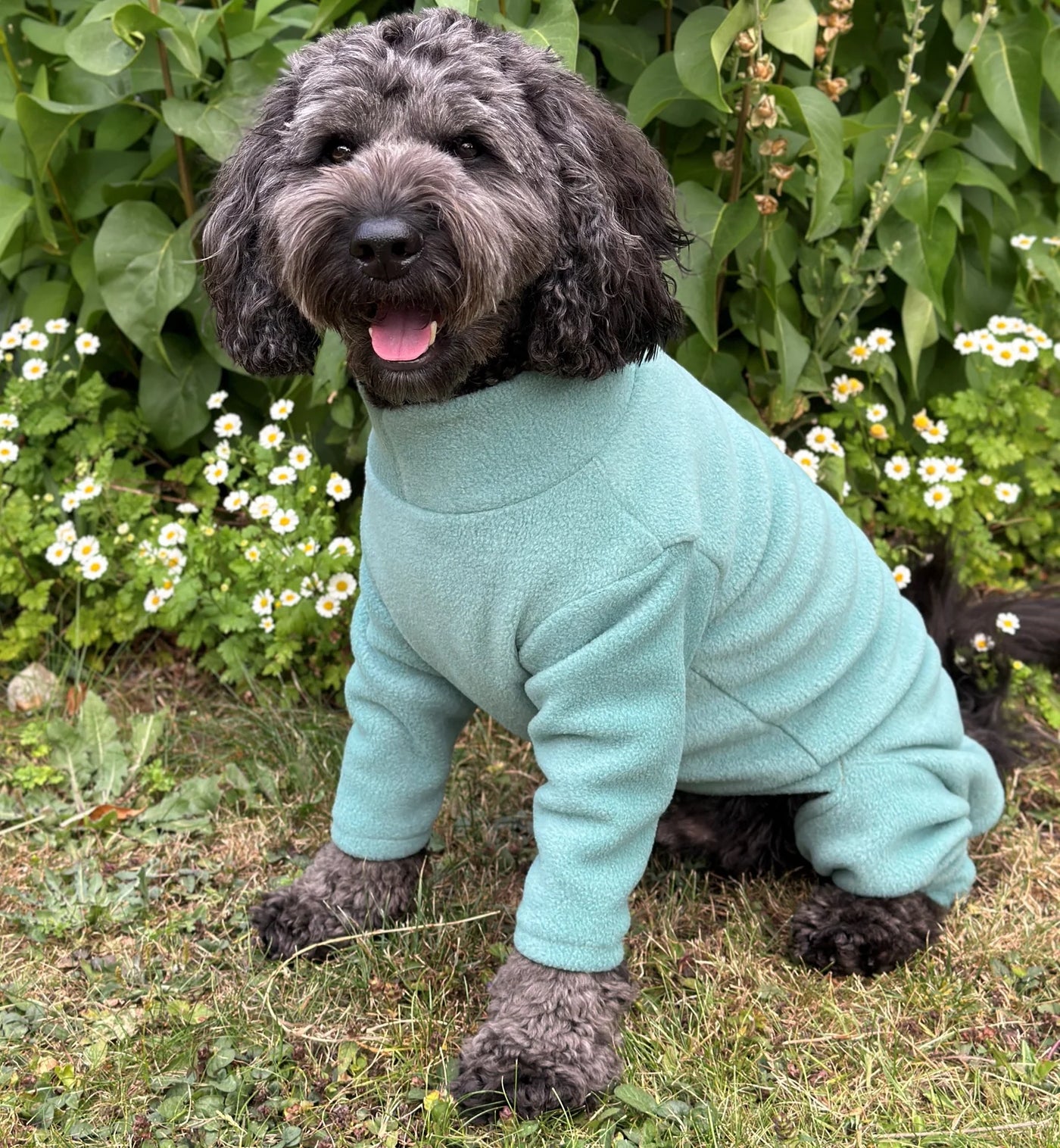 Pawsome Suits 4 Leg Dog Suit in Sage