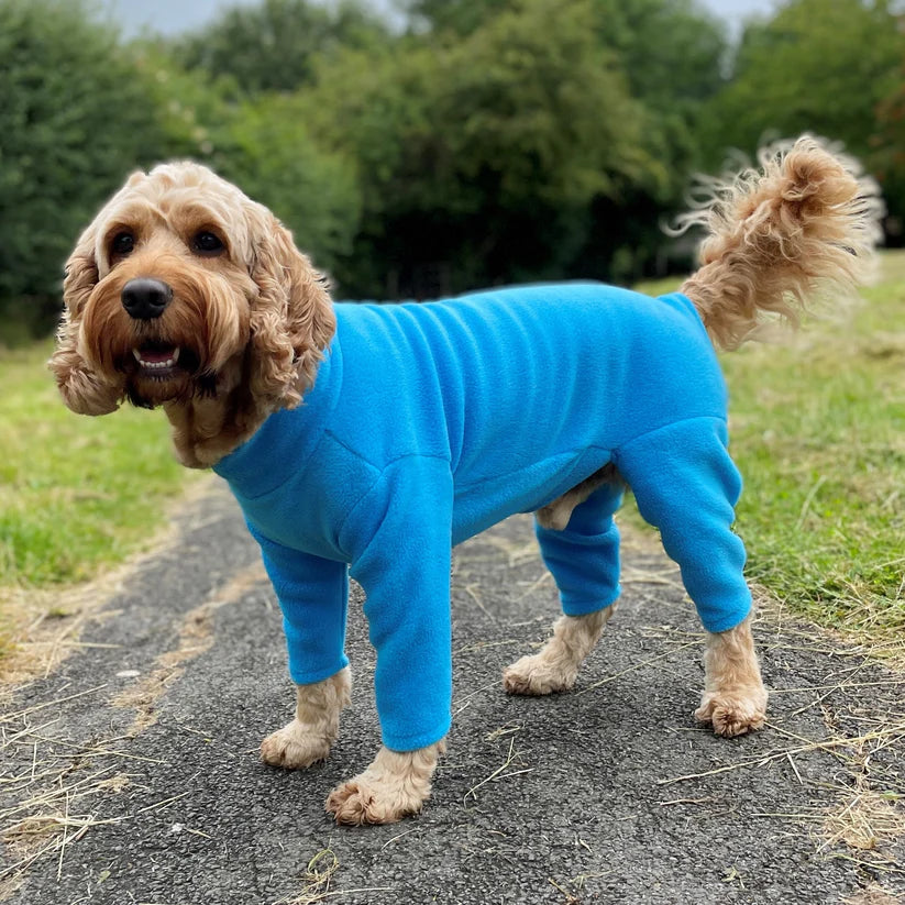 Pawsome Paws 4 Leg Dog Suit in Turquoise