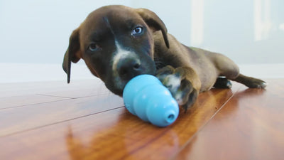 KONG Puppy Pink Sm