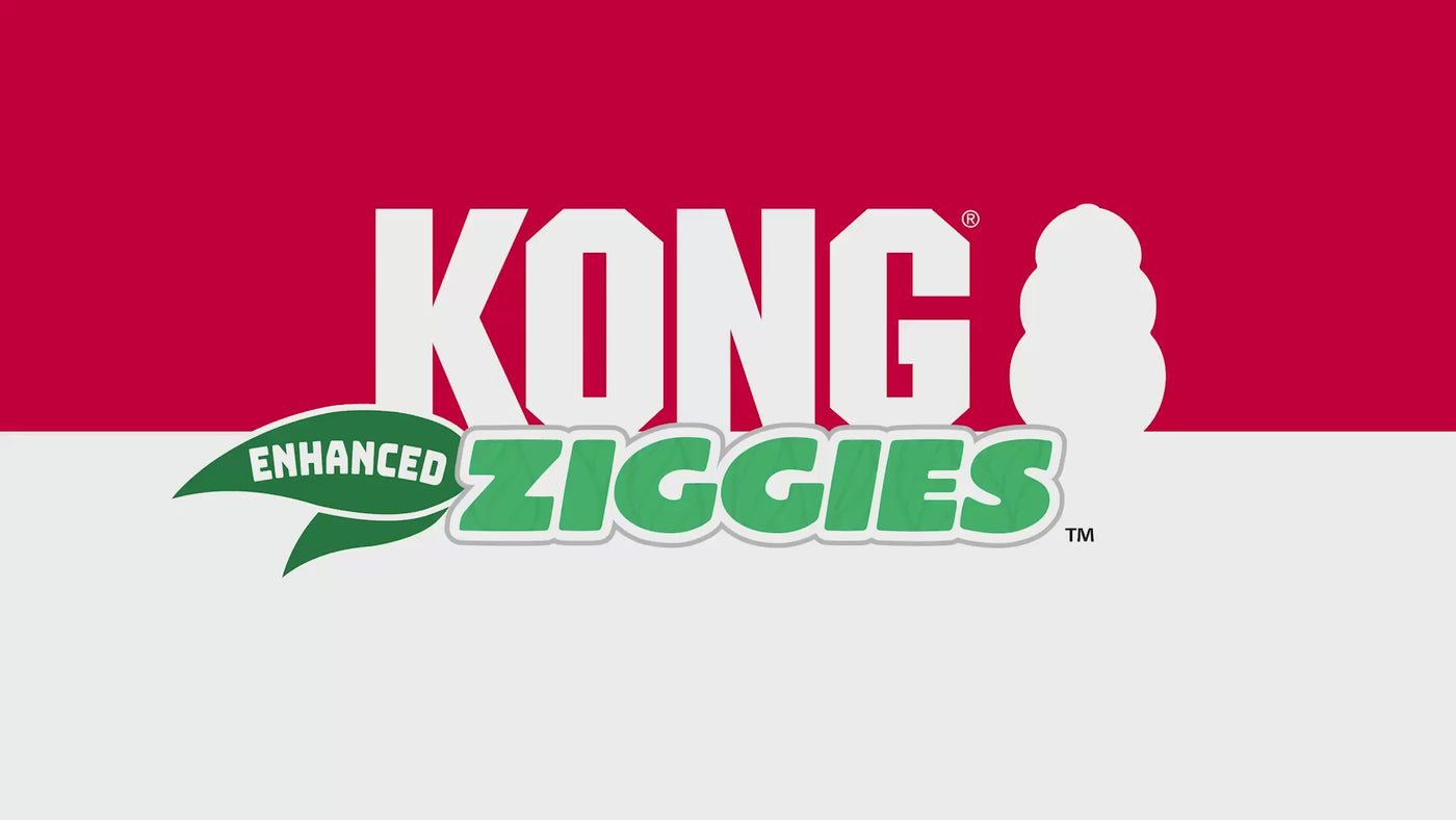 KONG Ziggies Enhanced Puppy Sm 198g