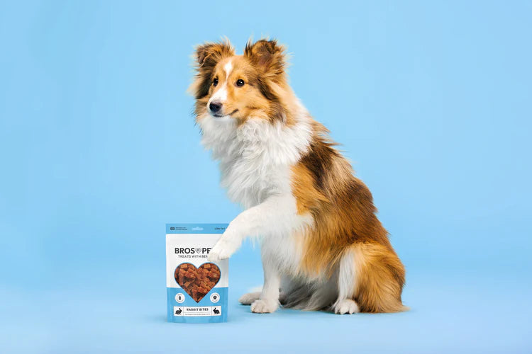 Chicken Breast Jerky Treats for Dogs