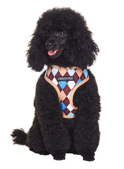 Brown and Blue Argyle Harness