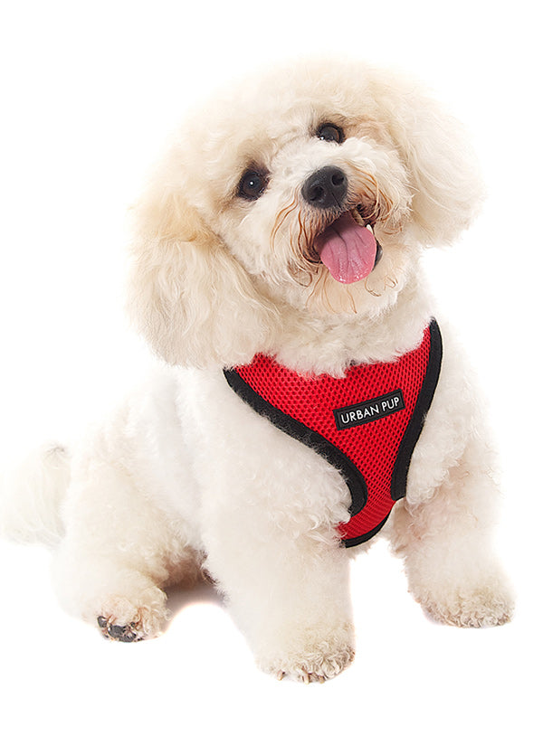 Cherry Red Soft Mesh Harness